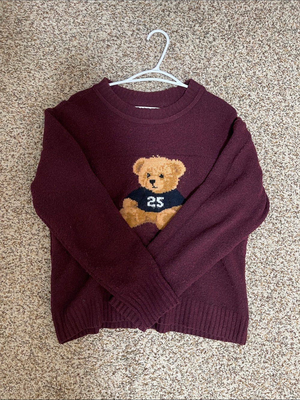 Burgundy Teddy Bear Knit Sweater